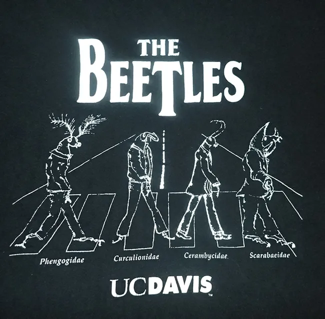 "The Beetles" t-shirt is the EGSA's all-time best seller. Instead of the English rock band John Lennon, Paul McCartney, George Harrison and Ringo Star crossing Abbey Road in single file (that's the iconic image on the cover of their album, Abbey Road), think of The Beetles (four insects) crossing Abbey Road in single file. Beneath the images of the beetles are their family names: Phengogidae, Curculionidae, Cerambycidae and Scarabaeidae. Think glowworm, snout, long-horned, and scarab beetles.