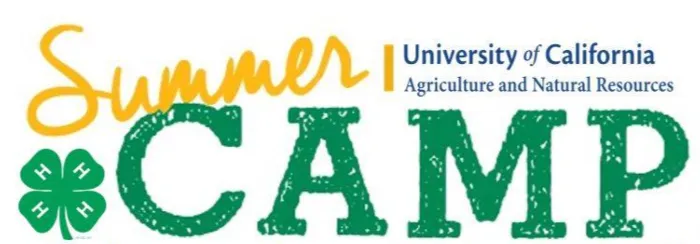 4-H Summer Camp logo