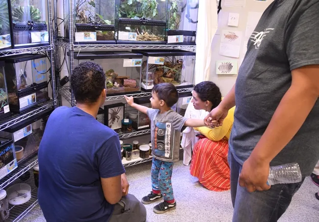 Entomologist Noah Crockette encourages visitors of all ages to check out the live petting zoo. (Photo by Kathy Keatley Garvey)