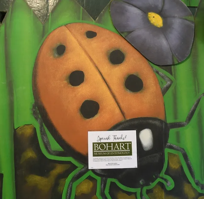 Everyone liked the beneficial insect, the lady beetle, aka lady bug. (Photo by Kathy Keatley Garvey)