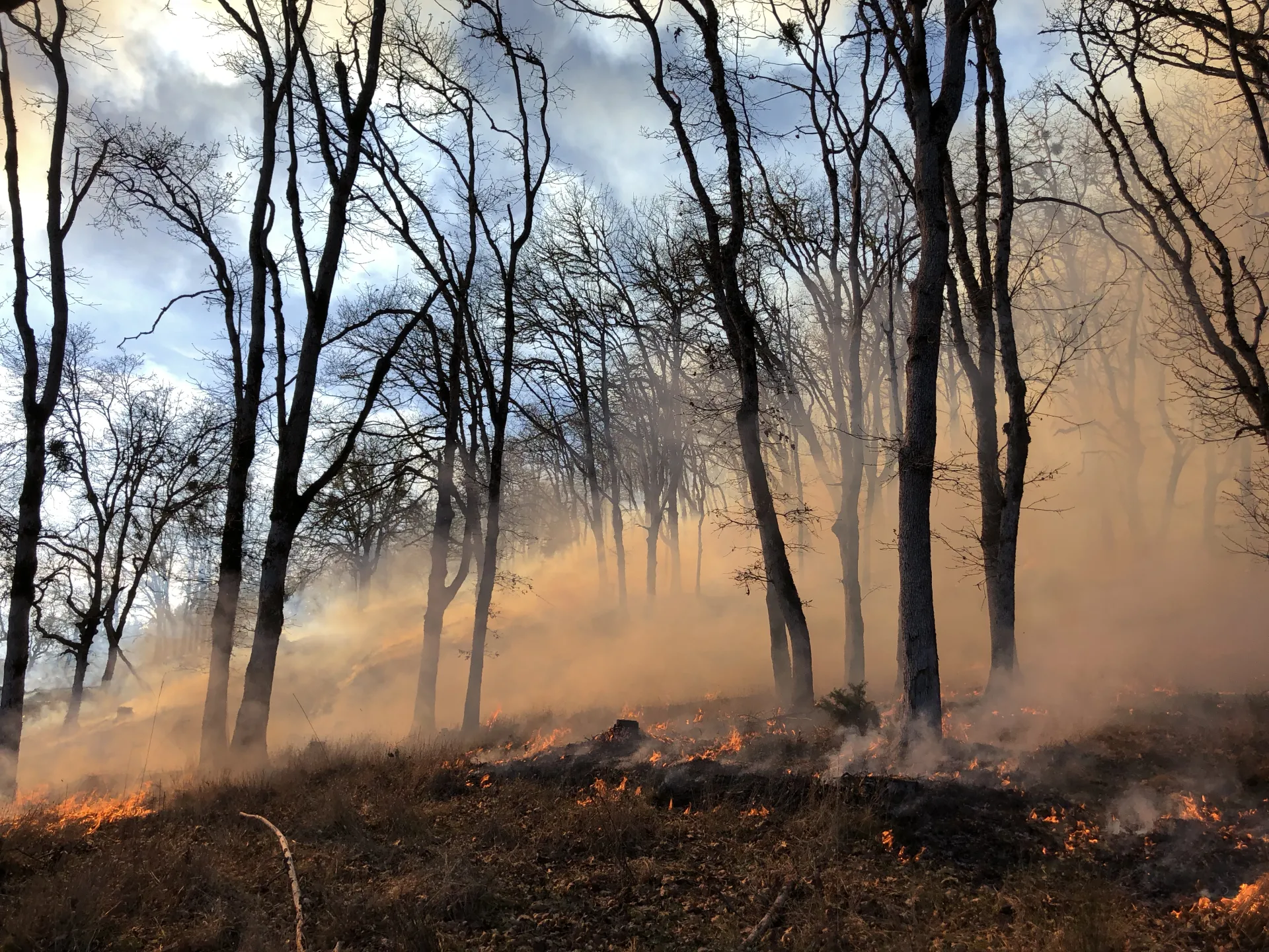 IMG_2766_LQuinnDavidson