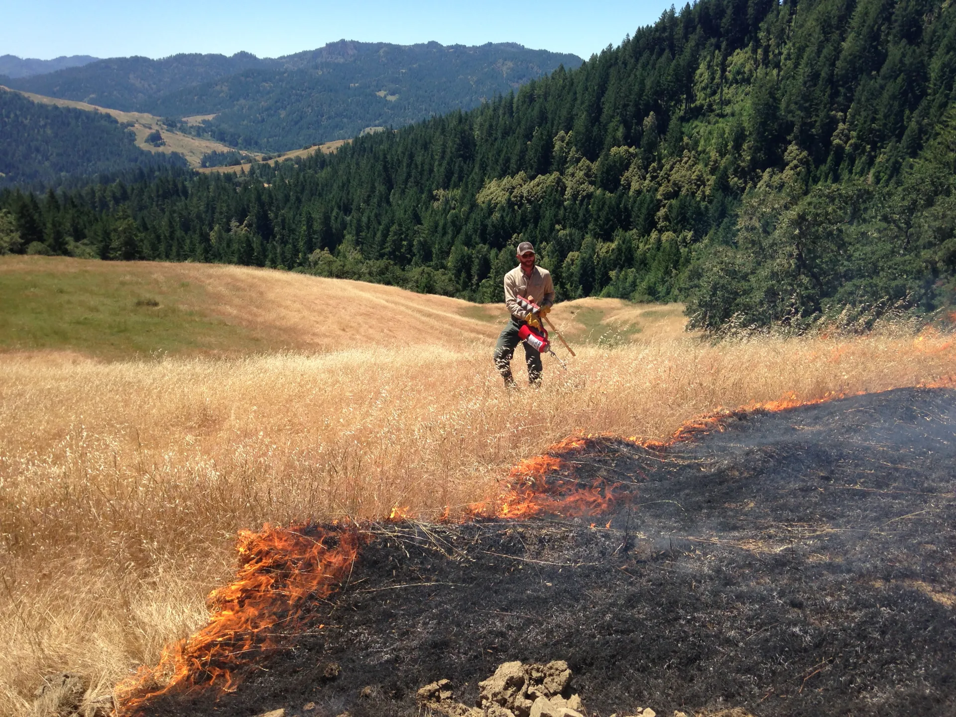 IMG_1616_LQuinnDavidson