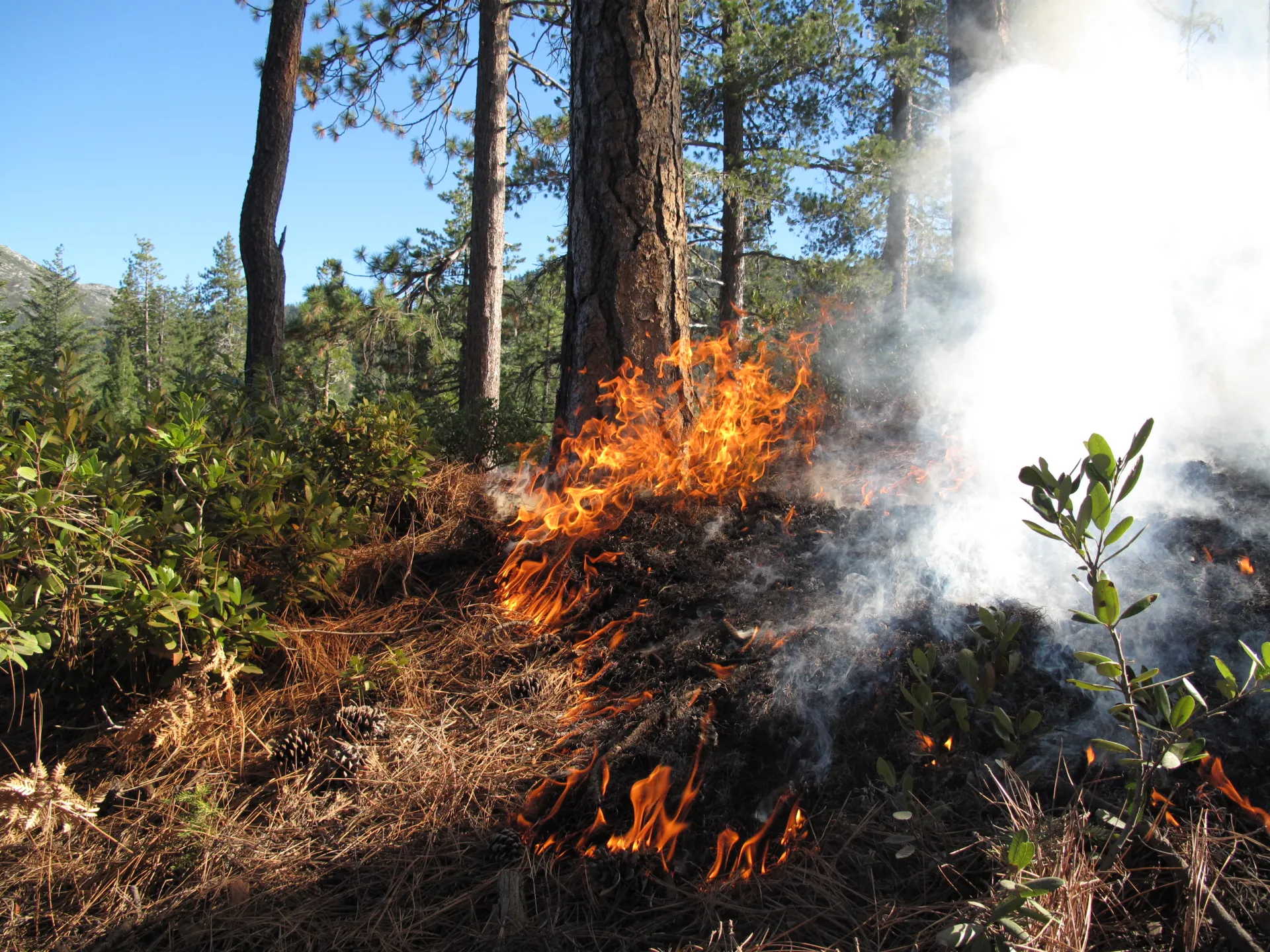 LQuinnDavidson_10312013 (8)