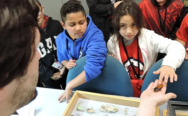 Children of California migratory workers react to a Madagascar hissing cockroach during their tour of the Bohart Museum of Entomology. A news story about the event won a gold or first-place award in the ACE competition. (Photo by Kathy Keatley Garvey)