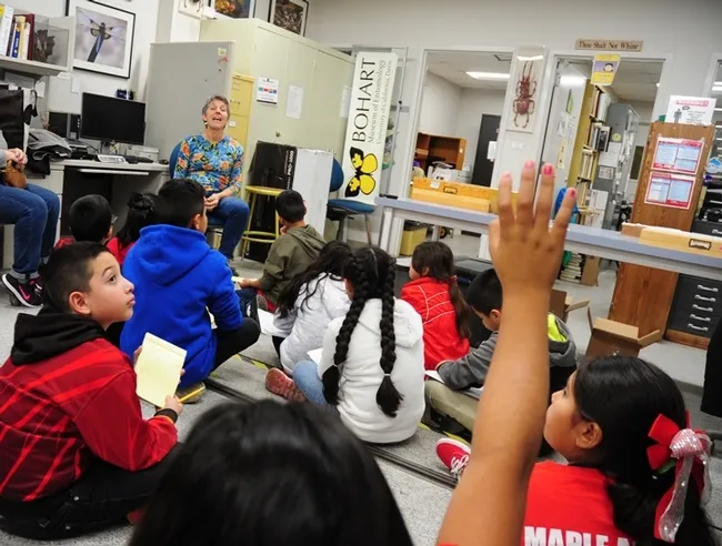 Lynn Kimsey, director of the Bohart Museum of Entomology, fields questions from the tour group. (Photo by Kathy Keatley Garvey)