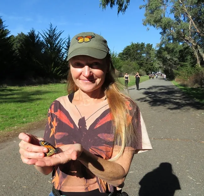 "Monarch Mom" Rita LeRoy (pictured) of Vallejo transported "Ms. Vacaville Monarch" to an overwintering site in Santa Cruz. (Photo by Kathy Keatley Garvey)