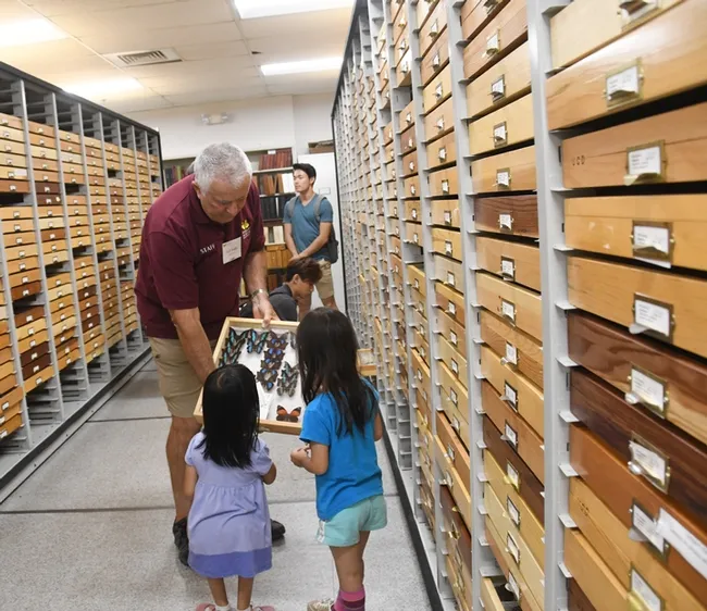 Entomologist Jeff Smith, curator of the butterfly and moth specimens at the Bohart, shows a tray to sisters Lily Edmonds of Davis, 7, and Chloe Edmonds, 6, of Davis. (Photo by Kathy Keatley Garvey)