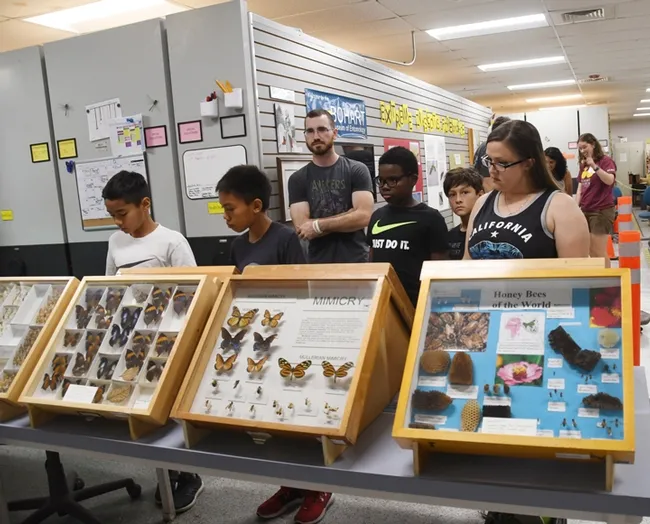 Visitors learned about the fascinating world of insects. (Photo by Kathy Keatley Garvey)