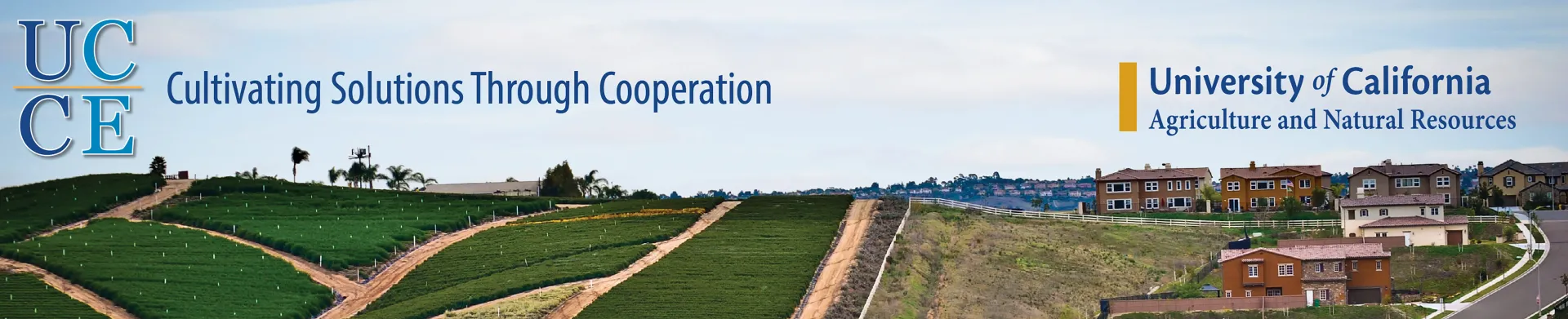 Email Header Image-01 copy