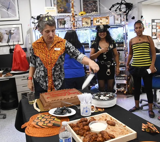 Bohart Museum director Lynn Kimsey wields the knife to cut the anniversary cake. In back are guests Anita Heydon and Maria Nansen. (Photo by Kathy Keatley Garvey)
