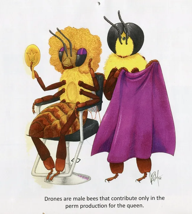 A UC Davis student wrote: "Drones are male bees that contribute only in the perm production for the queen." That inspired Karissa Merritt to create this for the newly published Bohart Museum of Entomology calendar, now available for purchase.