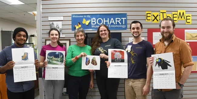 Displaying the innovative Bohart Museum calendars are museum associates and the director. From left are UC Davis entomology student Abram Estrada; intern Sophia Lonchar of The Met High School, Sacramento; Bohart Museum director Lynn Kimsey; UC Davis entomology student Wade Spencer, and Bohart scientist Brennen Dyer, a recent entomology graduate. (Photo by Kathy Keatley Garvey)