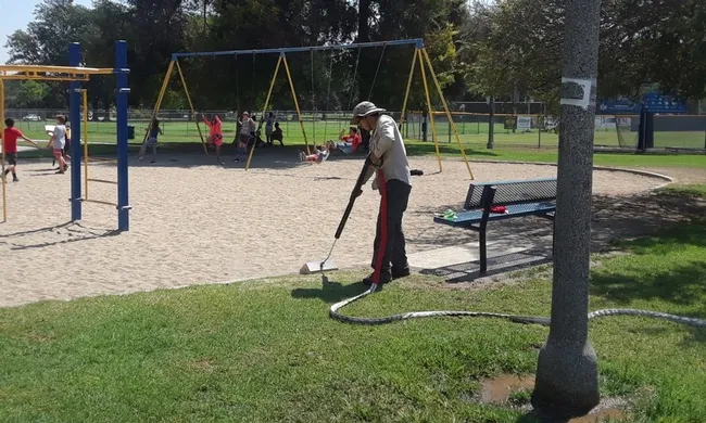 Weed steaming near playground