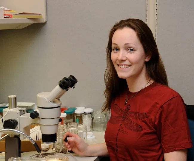 Danielle Wishon, shown here in 2011 at the Bohart Museum of Entomology, will be back at the Bohart on Saturday, Jan. 12 to participate in an open house. (Photo by Kathy Keatley Garvey)