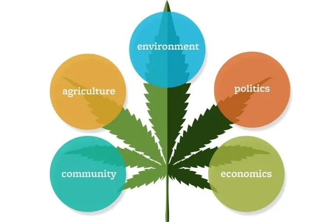 A new Cannabis Research Center will be directed by Van Butsic and Ted Grantham, both UC Cooperative Extension specialists in UC Berkeley's Department of Environmental Science, Policy and Management. (UC Berkeley graphic by Hulda Nelson)