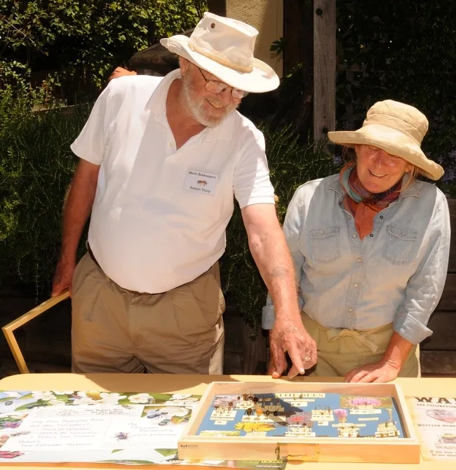 Robbin Thorp, UC Davis distinguished emeritus professor of entomology, shows UC master gardener Kathy Ziccardi his collection of native bee specimens. The event: a Celebration of Bees in Mill Valley in 2011.(Photo by Kathy Keatley Garvey)