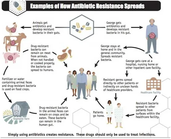 Antibiotic Resistance Spread diagram CDC 001