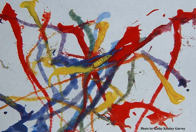 An example of maggot art. Visitors to Briggs Hall can create maggot art during the 105th annual UC Davis Picnic Day. (Photo by Kathy Keatley Garvey)