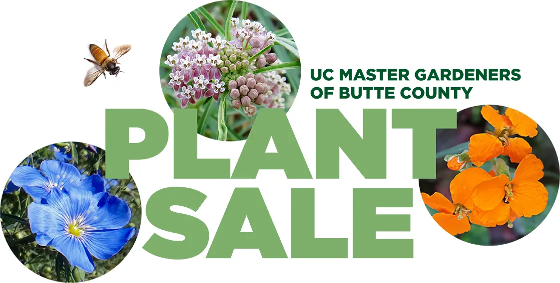 xUC Master Gardeners of Butte County Spring Plant Sale