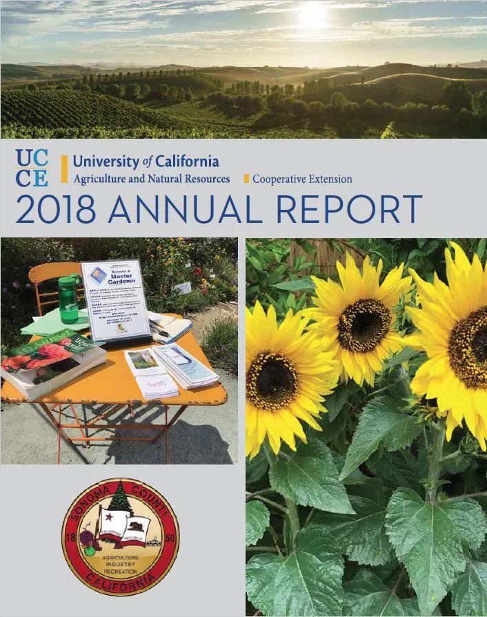 2018 Annual Report
