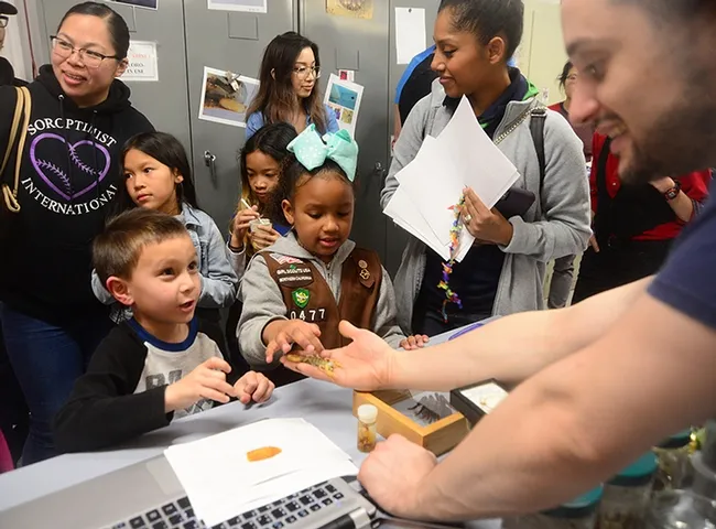 Logan Loss, 6, of Rocklin talks about scorpions to Bohart associate and scorpion scientist Wade Spencer. The kindergarten student is an avid scorpion enthusiast. Also pictured are members of the Vacaville Brownie Girl Scout Troop (from left) Jayda Navarette, Keira Yu and Kendl Macklin, front. (Photo by Kathy Keatley Garvey)