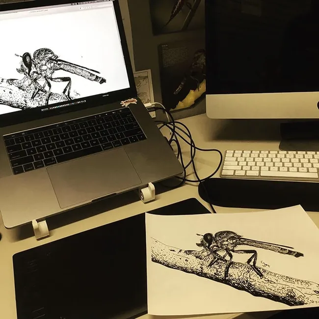 It's all about robber flies in the habitat of Charlotte Herbert Alberts.