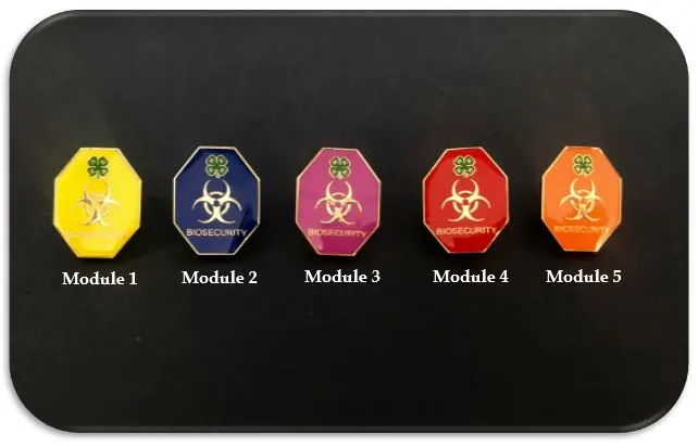 Biosecurity Pins- rounded corner