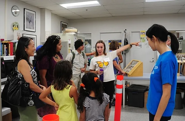 As a graduate student at UC Davis, Jessica Gillung participated in many outreach programs with the Bohart Museum of Entomology. (Photo by Kathy Keatley Garvey)