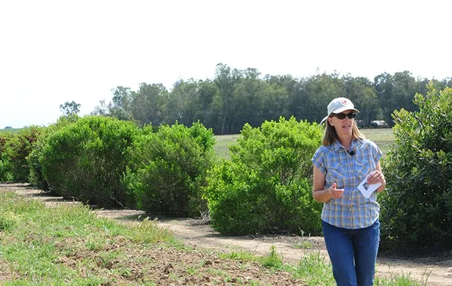 Rachael Long, UCCE farm advisor, leads a tour of her family farm in Yolo County in April of 2015. "Hedgerows are important for enhancing beneficial insects, including bees and natural enemies, for better biocontrol and crop pollination in adjacent field crops, with measurable economic benefits," she says. (Photo by Kathy Keatley Garvey)