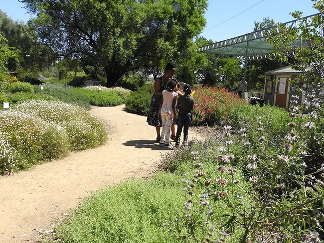 Ariel Cormier, who works in the chancellor and provost offices as manager of Budget and Financial Analyis, guides her twin daughters Casey and Gabrielle, 8, in the Häagen-Dazs Honey Bee Haven. The garden, located on Bee Biology Road, was installed in the fall of 2009. (Photo by Kathy Keatley Garvey)