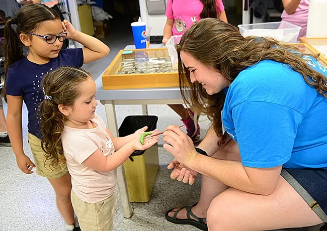Bohart associate and UC Davis graduate Emma Cluff shows tomato hornworms (Manduca quinquemaculata) to Isabella Aranda, 3, and her sister Ximena Aranda, 6. (Photo by Kathy Keatley Garvey)