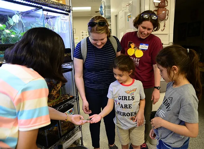 Katie Eting, 6, wearing a shirt, "Girls Are Heroes" and her sister, Lily Eting, wearing "Every Day is Caturday," check out stick insects with their mother and UC Davis employee, Jennifer Eting (center) and Ilyssa Boco (far left), first-year entomology student. In back is Tabatha Yang, the Bohart Museum's education and outreach coordinator. (Photo by Kathy Keatley Garvey)