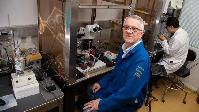 Walter Leal, distinguished professor in the UC Davis Department of Molecular and Cellular Biology, studies the molecular basis of insect olfaction, unraveling how insects detect chemicals and using that knowledge to inform pest management techniques. (Photo by David Slipher, College of Biological Sciences)