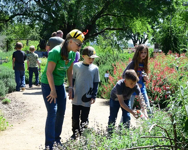 Wendy Mather (left) program manager of the California Master Beekeeper Program shows the third graders how to use a bee vacuum in a catch-and-release activity. (Photo by Kathy Keatley Garvey)