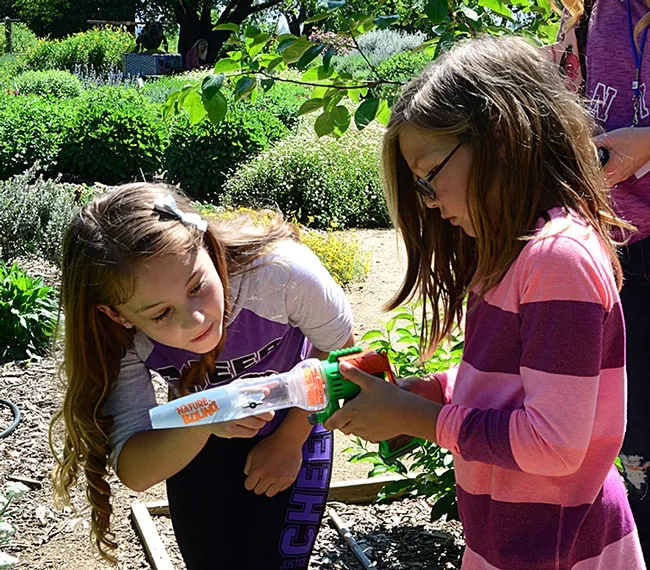 I can see the bee! There it is! (Photo by Kathy Keatley Garvey)