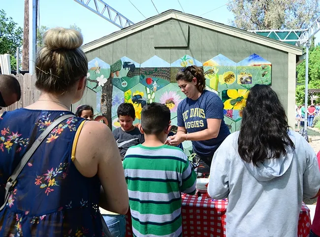 Volunteer Julia Wentzel introduced the concept of "pollinator specialists" and engaged the students in creating a "pollinator." They then transferred "pollen" to different shaped flowers. (Photo by Kathy Keatley Garvey)