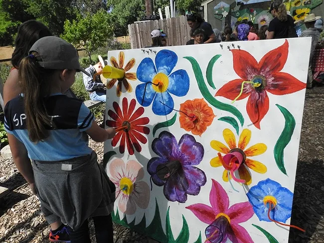 Students placed "pollinators" inside flowers. (Photo by Kathy Keatley Garvey)