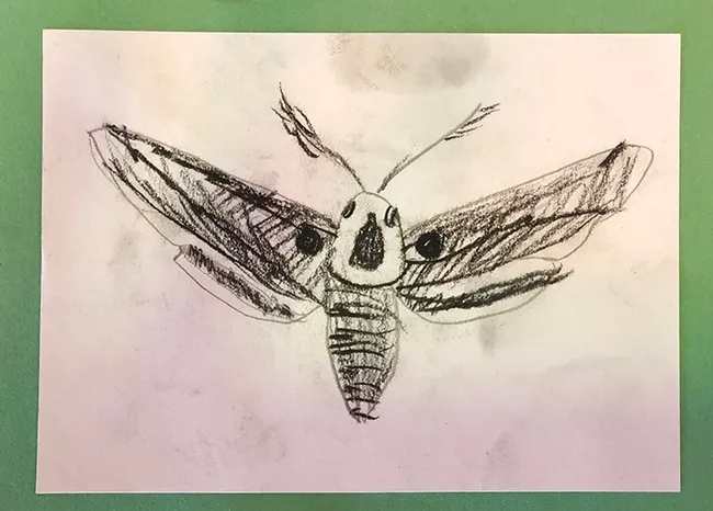 This pencil sketch of a moth is by Alana Boman of the Sherwood Forest 4-H Club, Vallejo, who entered it in 4-H youth graphics arts, ages 5 to 8, in McCormack Hall, Solano County Fair. The fair runs June 27-June 30. (Photo by Kathy Keatley Garvey)