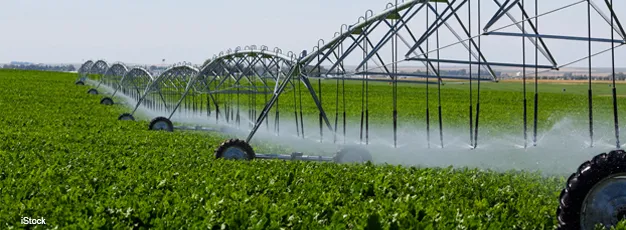 Center pivot irrigation system irrigating a field
