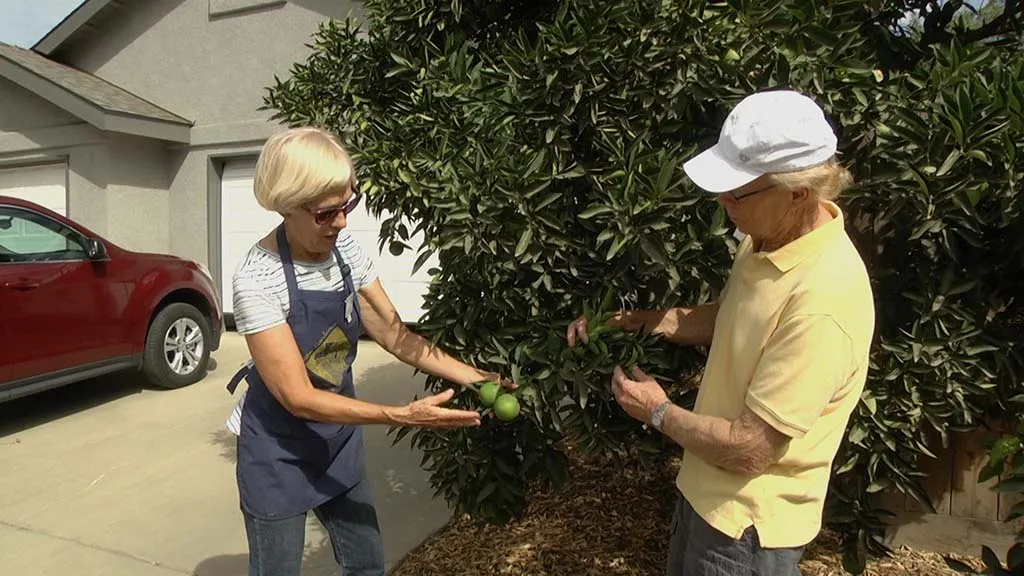 Click image to download video.