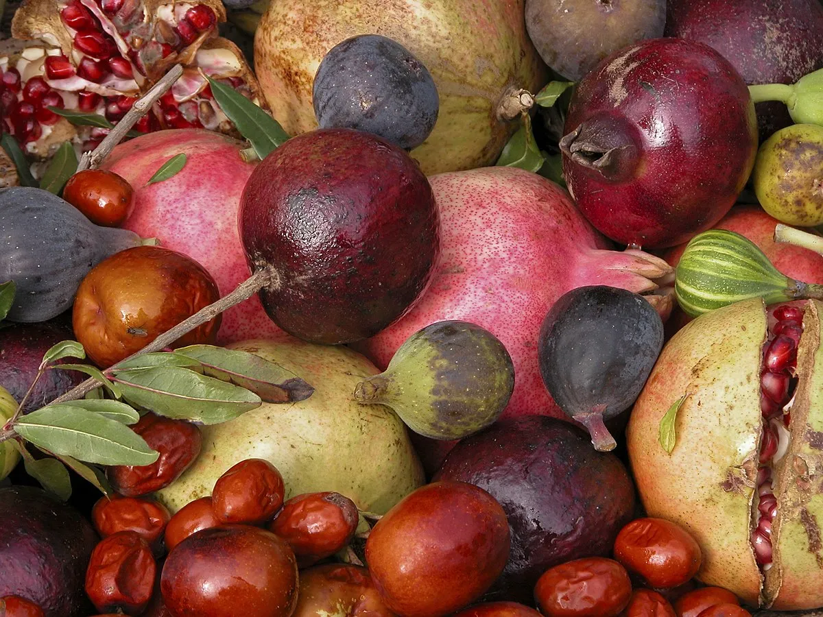 Jujubes Pomegranates Figs_INRA, Jean Weber
