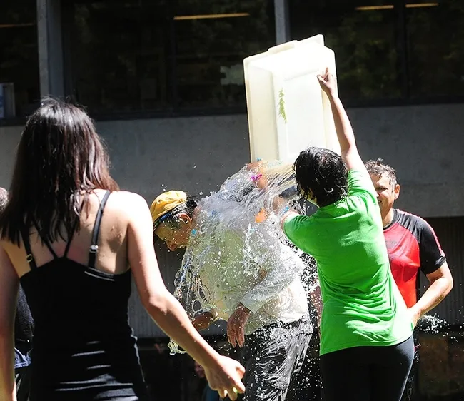 Water warrior Bruce Hammock gets doused. (Photo by Kathy Keatley Garvey)
