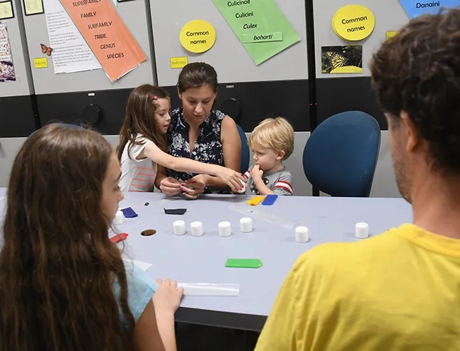 The family craft activity at the Bohart Museum is an opportunity for kids to be creative. This year "kids will be able to color and string white cocoons and make necklaces or bracelets with them," said Bohart associate Emma Cluff. (Photo by Kathy Keatley Garvey)