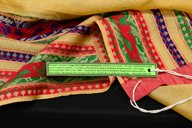 This is a woman's dupatta (shawl) of muga silk handwoven in Assam. It is richly embroidered by hand in traditional Assamese motifs. Moth expert Richard Peigler of San Antonio, Texas, donated this piece and many others to the Bohart Museum. (Photo by Kathy Keatley Garvey)