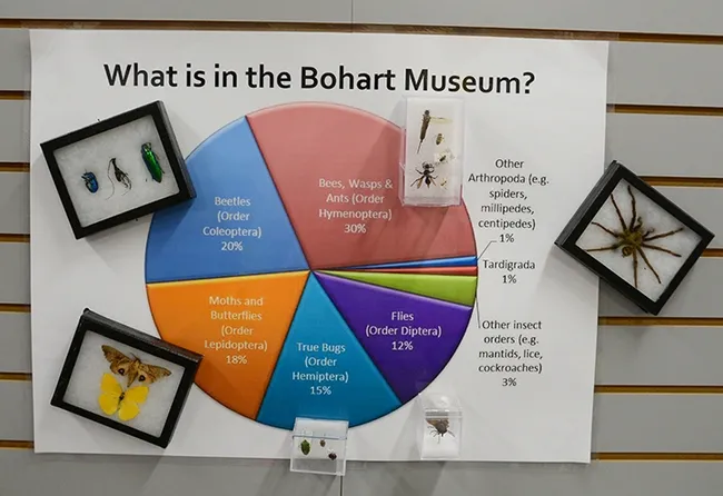 What's in the Bohart Museum of Entomology? A sign tells all. (Photo by Kathy Keatley Garvey)