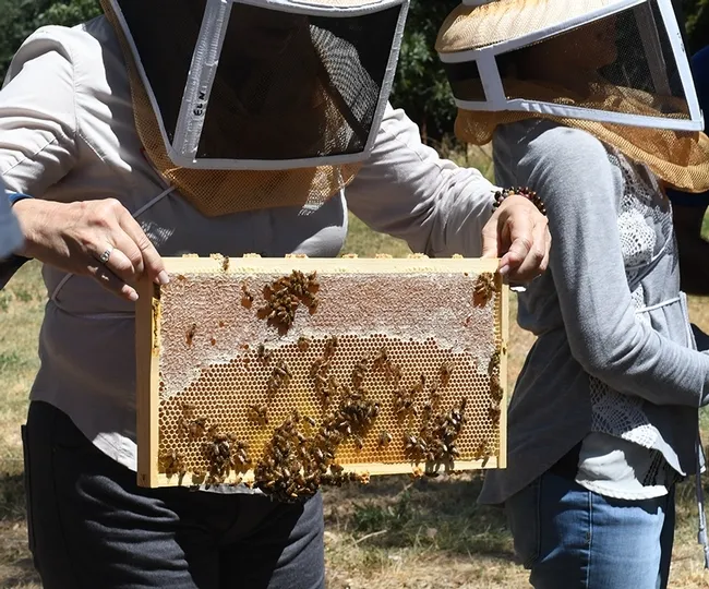 A student in the UC Davis class, "Planning Ahead for Your First Hive," holds a frame. (Photo by Kathy Keatley Garvey)
