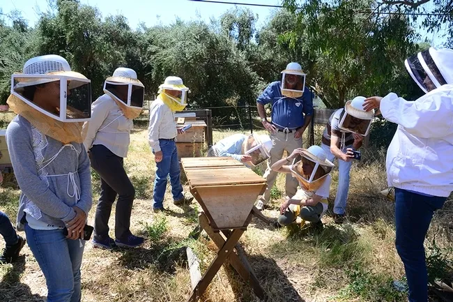Participants in the UC Davis class, "Planning for Your First Hive," learn about the top bar hive. (Photo by Kathy Keatley Garvey)