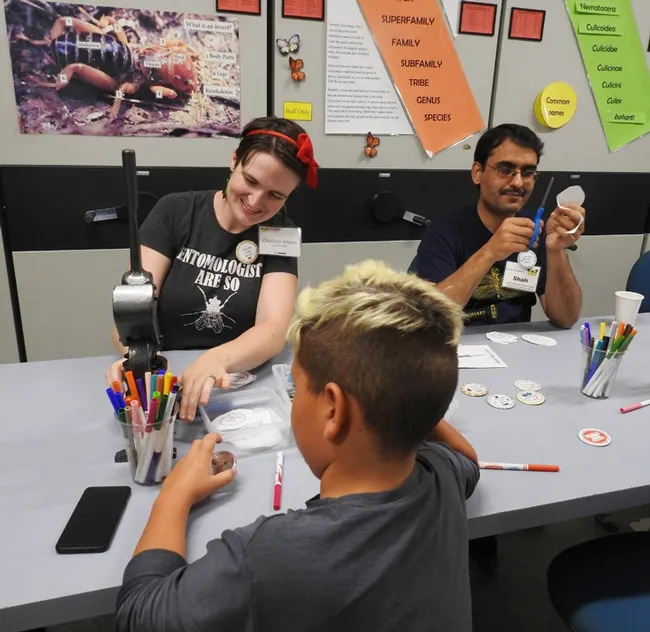 Doctoral student Charlotte Herbert Alberts and visiting scholar Syed Fahad Shah working at the button-making table at the Bohart Museum of Entomology. (Photo by Kathy Keatley Garvey)
