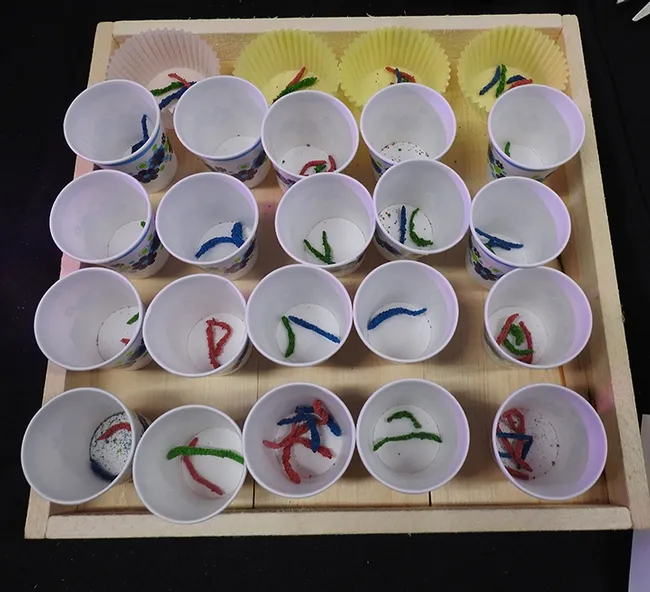 A close-up of the earthworms. (Photo by Kathy Keatley Garvey)