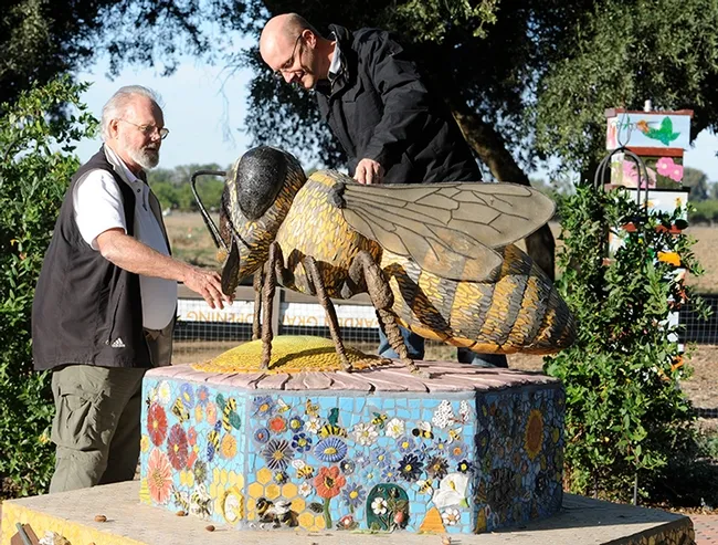 Robbin Thorp (left), legendary authority on bees, shows UC Davis alumnus Alex Wild the "Miss Bee Haven" sculpture in the UC Davis Department of Entomology and Nematology's bee garden on Bee Biology Road. Wild, who received his doctorate in entomology at UC Davis, is the curator of entomology at the University of Texas, Austin. This image was taken in 2008. (Photo by Kathy Keatley Garvey)